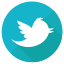 bird, logo, media, network, social, tweet 