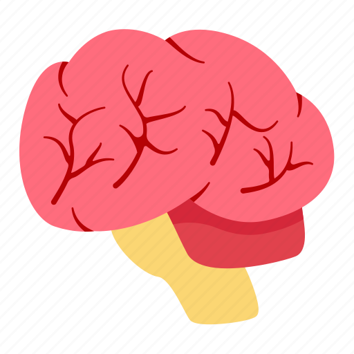 Brain, idea, think, mind icon - Download on Iconfinder