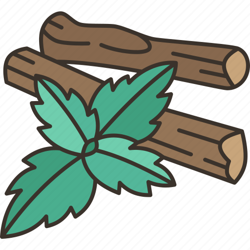 Licorice, root, herb, medicinal, natural icon - Download on Iconfinder