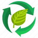 leaves, ecology, environment, recycling