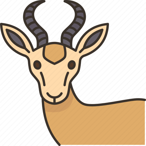 Springbok, antelope, wildlife, animal, safari icon - Download on Iconfinder
