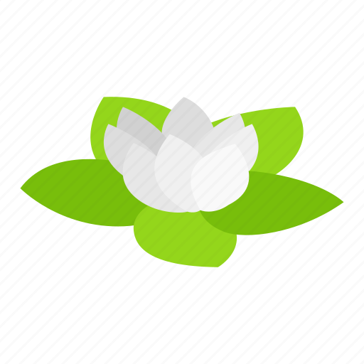 Flower, health, isometric, lotus, nature, spa, yoga icon - Download on Iconfinder