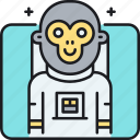 monkey, space, space monkey