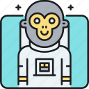 monkey, in, space