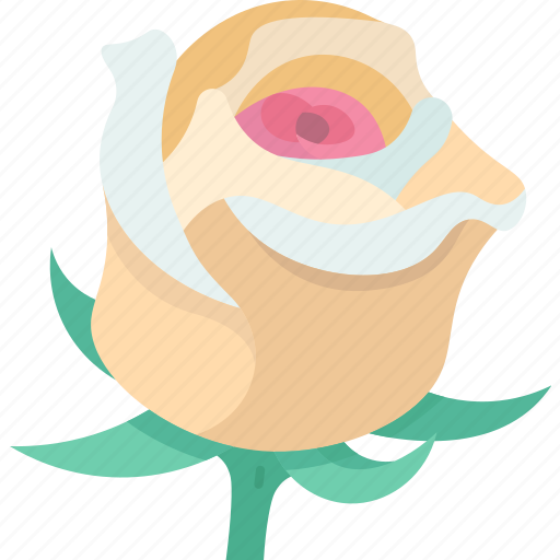 Rose, flower, blossom, nature, aroma icon - Download on Iconfinder