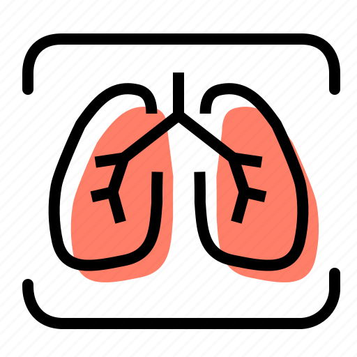 Fluorography, hospital, lungs, test icon - Download on Iconfinder