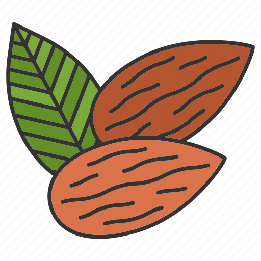 Almond, amygdalaceous, condiment, flavor, nut, seasoning, spice icon - Download on Iconfinder