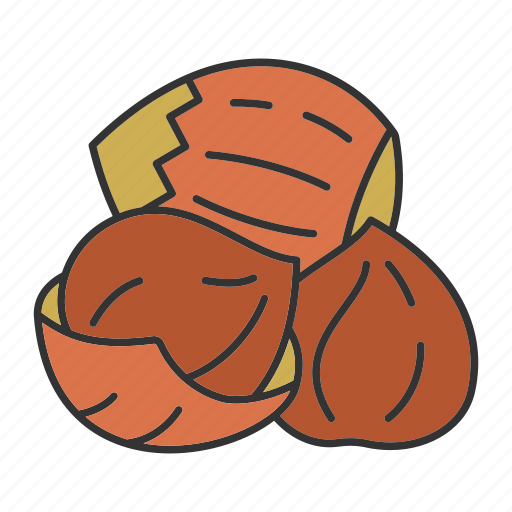 Hazelnut, nut, seed, spice, taste, culinary, ingredient icon - Download on Iconfinder