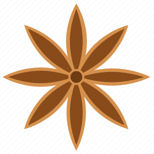 Anis, cooking, masala, spice, ingredient, star anise icon - Download on Iconfinder