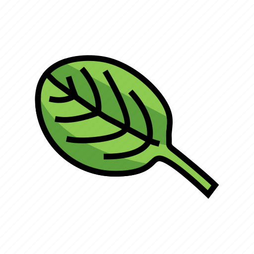 Leaf, spinach, healthy, eatery, ingredient, soup icon - Download on Iconfinder