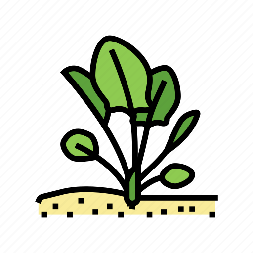 Plant, spinach, growing, healthy, eatery, ingredient icon - Download on Iconfinder
