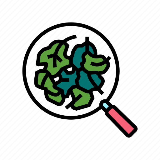 Spinach, healthy, eatery, ingredient, soup, spaghetti icon - Download on Iconfinder