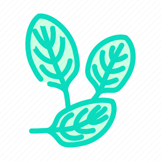 Spinach, green, leaf, salad, food, fresh icon - Download on Iconfinder