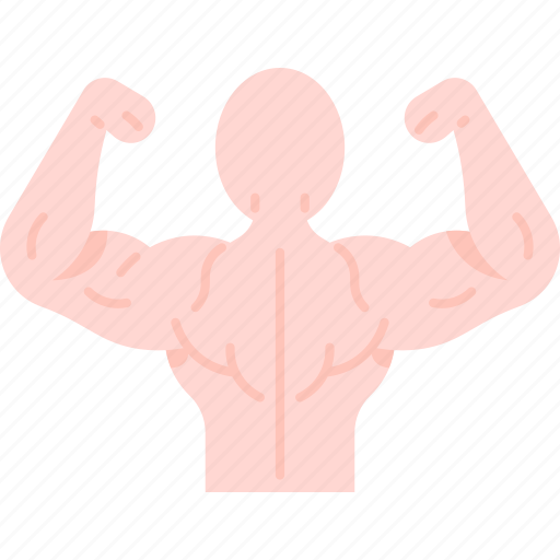 Bodybuilder, bulk, muscle, strong, fitness icon - Download on Iconfinder