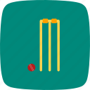 cricket, sport, stumps