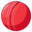 cricket ball, match 