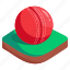 cricket ball, sport, cricket 