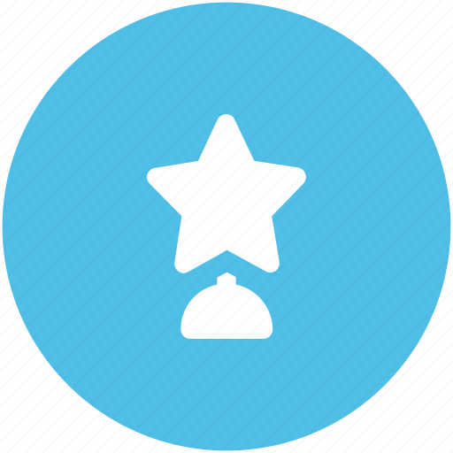 Award, prize, star trophy, trophy, winning cup icon - Download on Iconfinder
