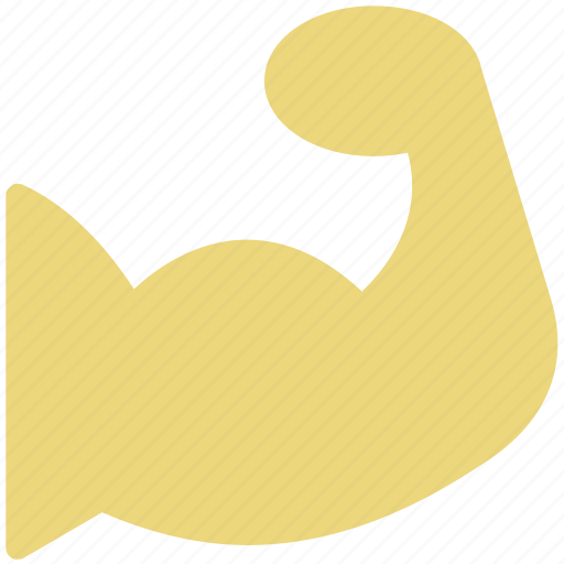 Biceps, bodybuilder, bodybuilding, exercise, fitness, muscles icon - Download on Iconfinder