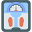 weight, scale, weighing, machine, wellness, fitness 