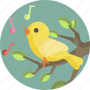 bird, animal, beautiful, song, nature, spring