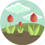 tulip, floral, nature, spring, flower, landscape 