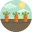 food, land, carrot, spring, field, landscape 