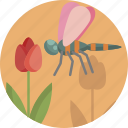 tulip, bug, spring, insect, blossom, flower
