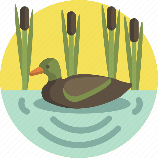 Pond, nature, lake, duck, animal, spring icon - Download on Iconfinder