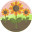floral, nature, spring, sunflower, flower, landscape 