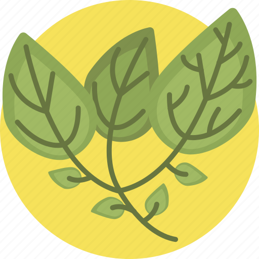 Sun, spring, leaf, nature, green icon - Download on Iconfinder