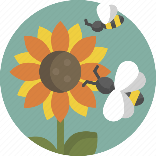 Bee, sunflower, flower, spring, nature icon - Download on Iconfinder