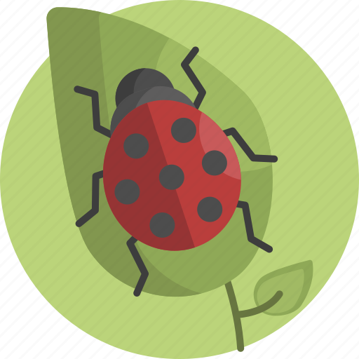 Leaf, ladybug, nature, spring, luck, green icon - Download on Iconfinder