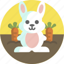 bunny, animal, carrot, spring, rabbit, field
