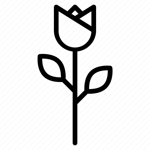 Flower, present, tulip, nature, spring icon - Download on Iconfinder
