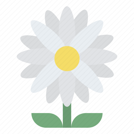 Daisy, blooming, flower, nature icon - Download on Iconfinder