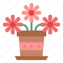 flower, pots, nature, spring
