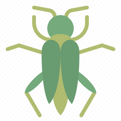 Grasshopper, bug, nature, wild icon - Download on Iconfinder