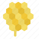 honeycomb, bee, honey, nest