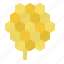 honeycomb, bee, honey, nest 