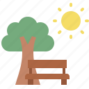 park, chair, sun, tree 
