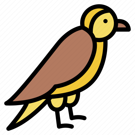 Bird, swallow, animal, nature, wild icon - Download on Iconfinder
