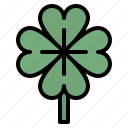 clover, blooming, flower, nature