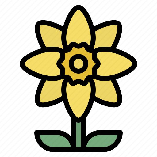 Daffodil, blooming, flower, nature icon - Download on Iconfinder