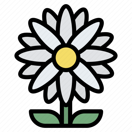 Daisy, blooming, flower, nature icon - Download on Iconfinder