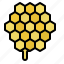 honeycomb, bee, honey, nest 