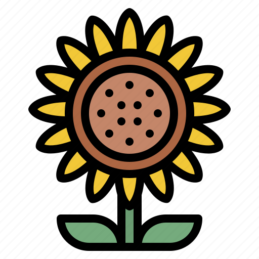 Sunflower, blooming, flower, nature icon - Download on Iconfinder