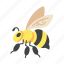 bee, insect, animal, fly 