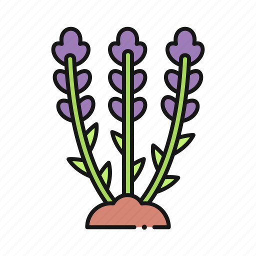 Lavender, plant, flower, nature icon - Download on Iconfinder