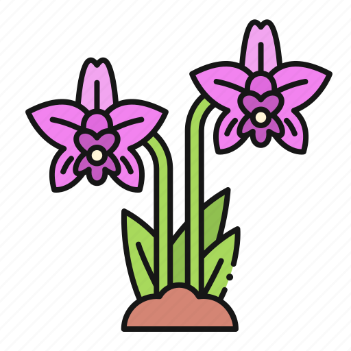 Orchid, flower, blossom, nature icon - Download on Iconfinder